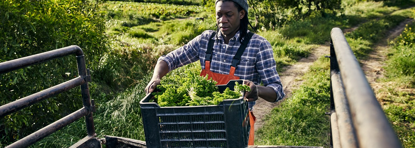 Presevation and Transport of Vegetables