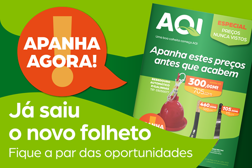 APANHA AGORA! - A nossa nova campanha