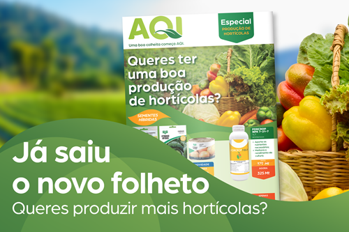Produção de Hortícolas