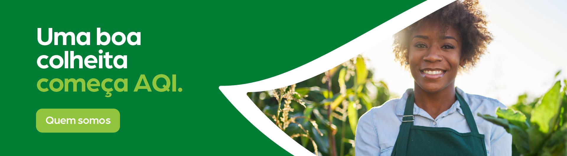 Uma boa colheita (Quem Somos) começa AQI