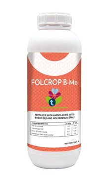 FOLCROP B-MO, 1LT