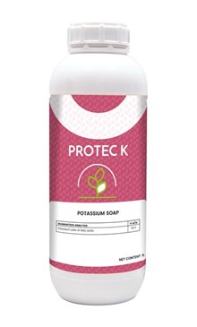 PROTEC K,1LT