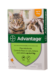 ADVANTAGE  LARGE CATS 4X0 .8ML