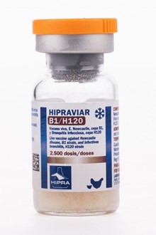 HIPRAVIAR, NEWCASTE - B1/H120  1000 Ds