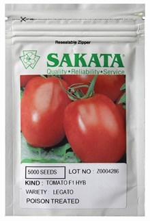 TOMATE F1 LEGATO - 1000 SEMENTES