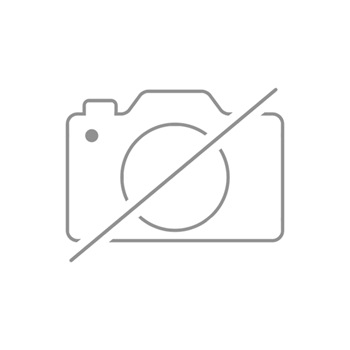 MSSCQUCSA10